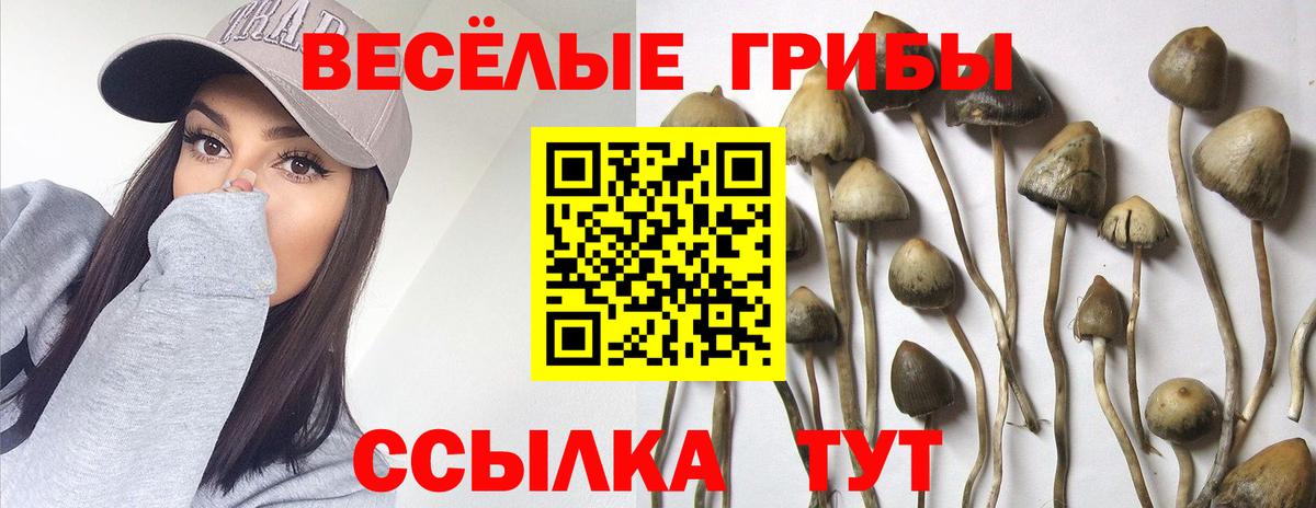 Галлюциногенные грибы мухоморы  Вход с VPN  Кунгур 